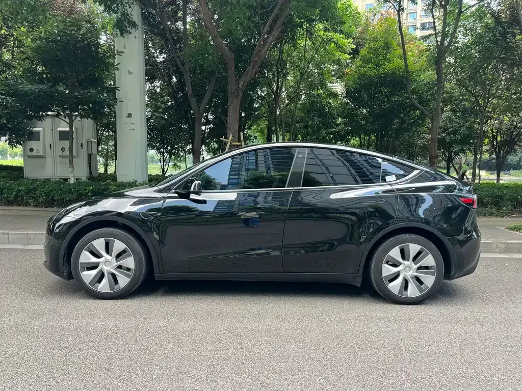 Tesla Model Y — фото 9