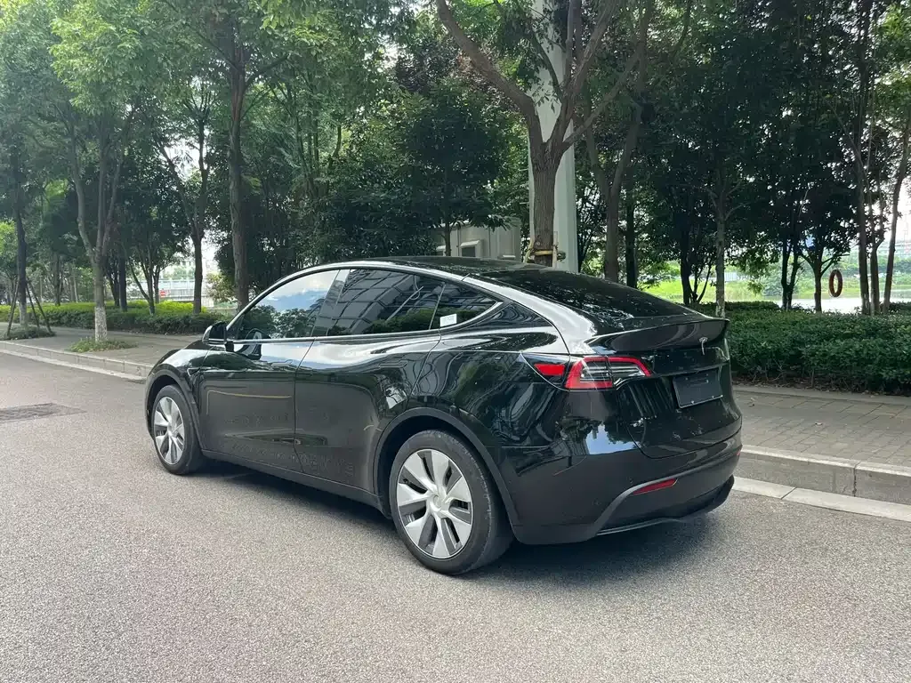 Tesla Model Y — фото 6