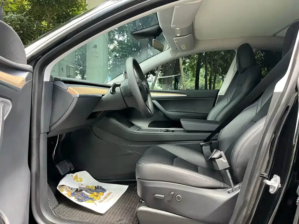 Tesla Model Y — фото 2