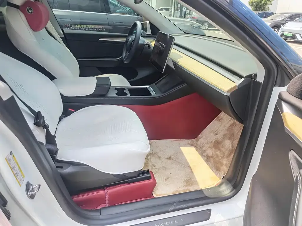 Tesla Model Y — фото 10