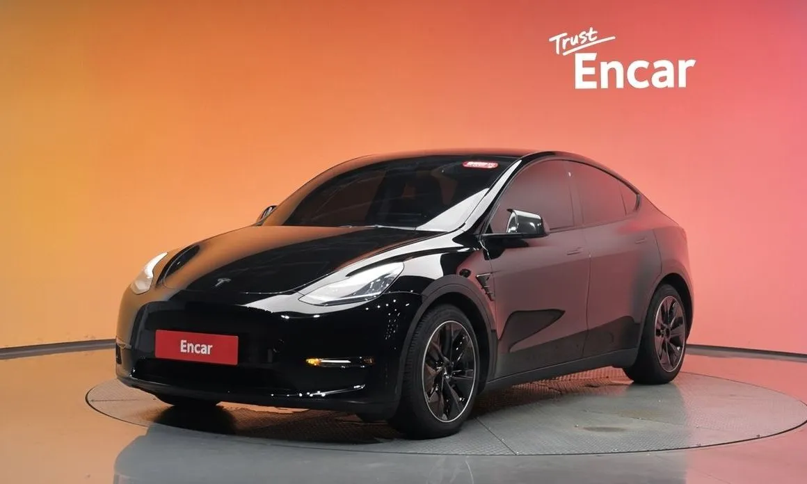Tesla Model Y — фото 1