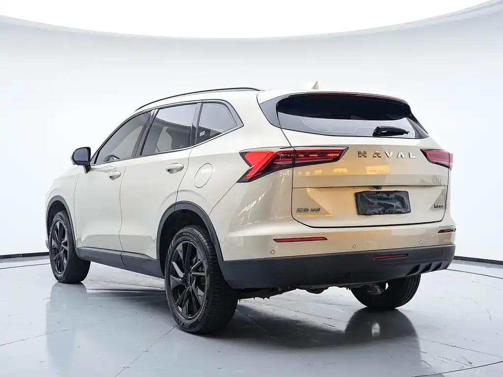 Haval H6 — фото 8