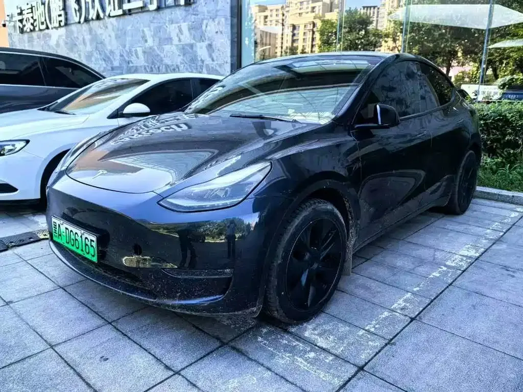 Tesla Model Y — фото 5