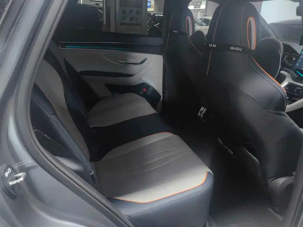 BYD PLUS New Energy — фото 4