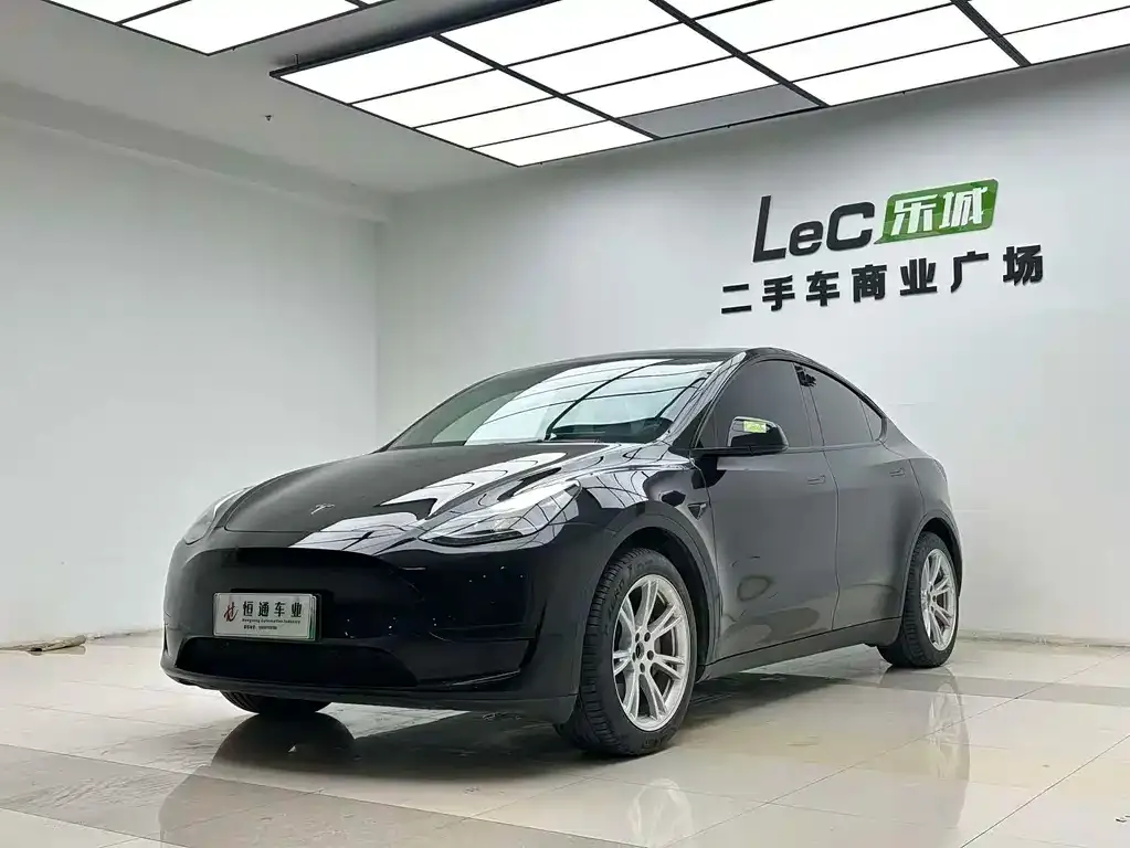 Tesla Model Y — фото 1