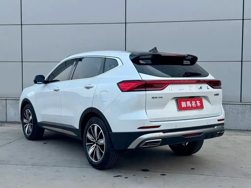 Haval H6 — фото 8