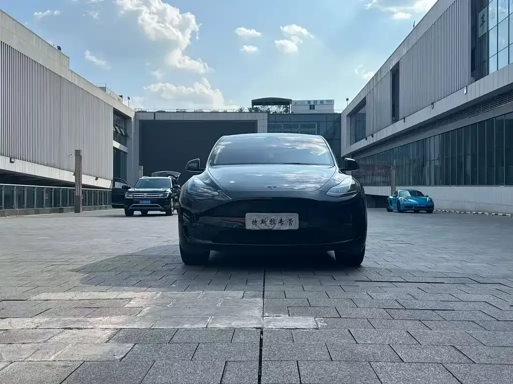 Tesla Model Y — фото 7