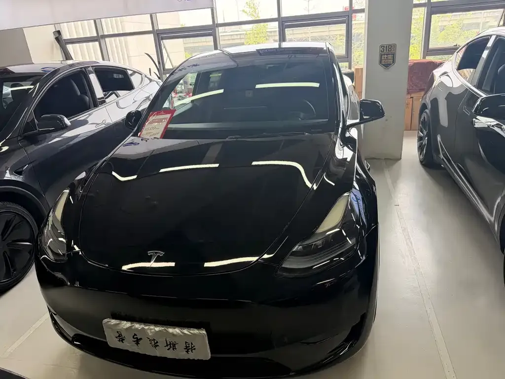 Tesla Model Y — фото 5
