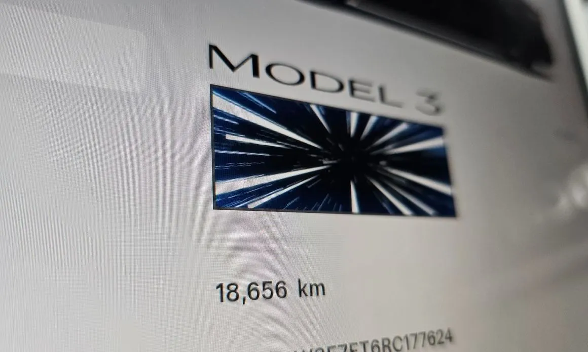 Tesla Model 3 2024 из KR, фото 4