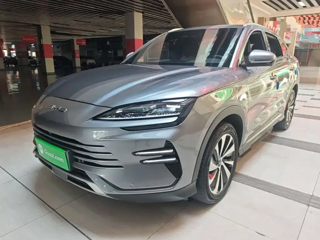 BYD PLUS New Energy — фото 1