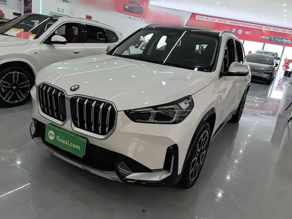 BMW X1 — фото 10