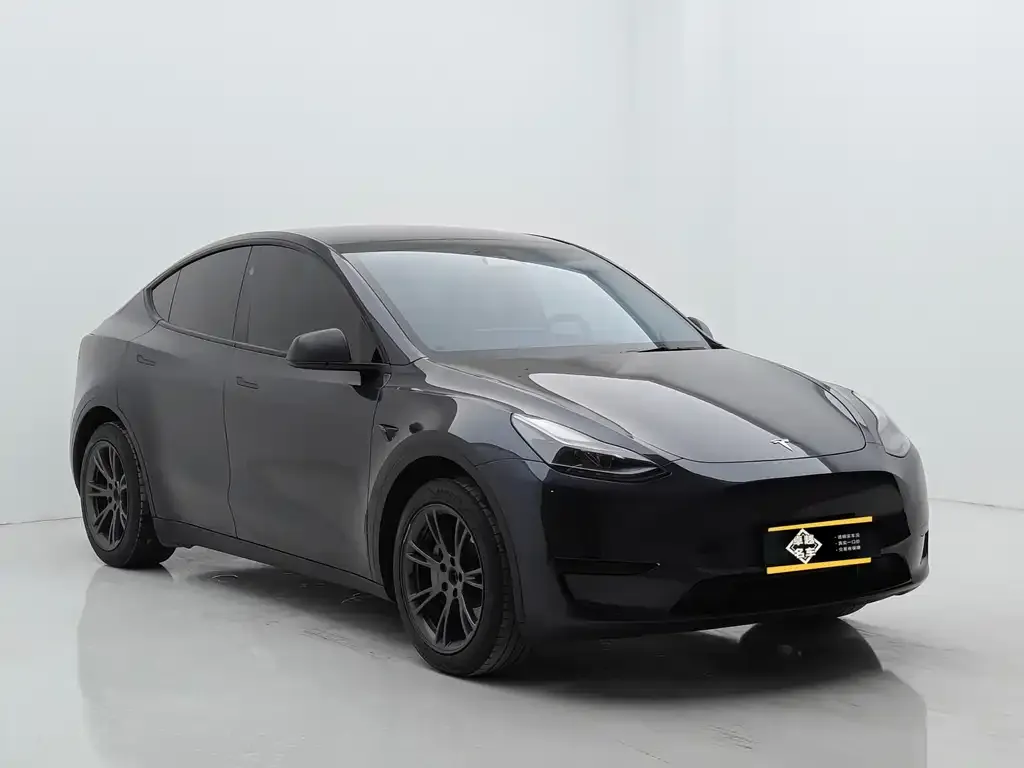 Tesla Model Y — фото 5