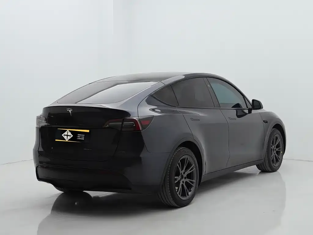 Tesla Model Y — фото 10