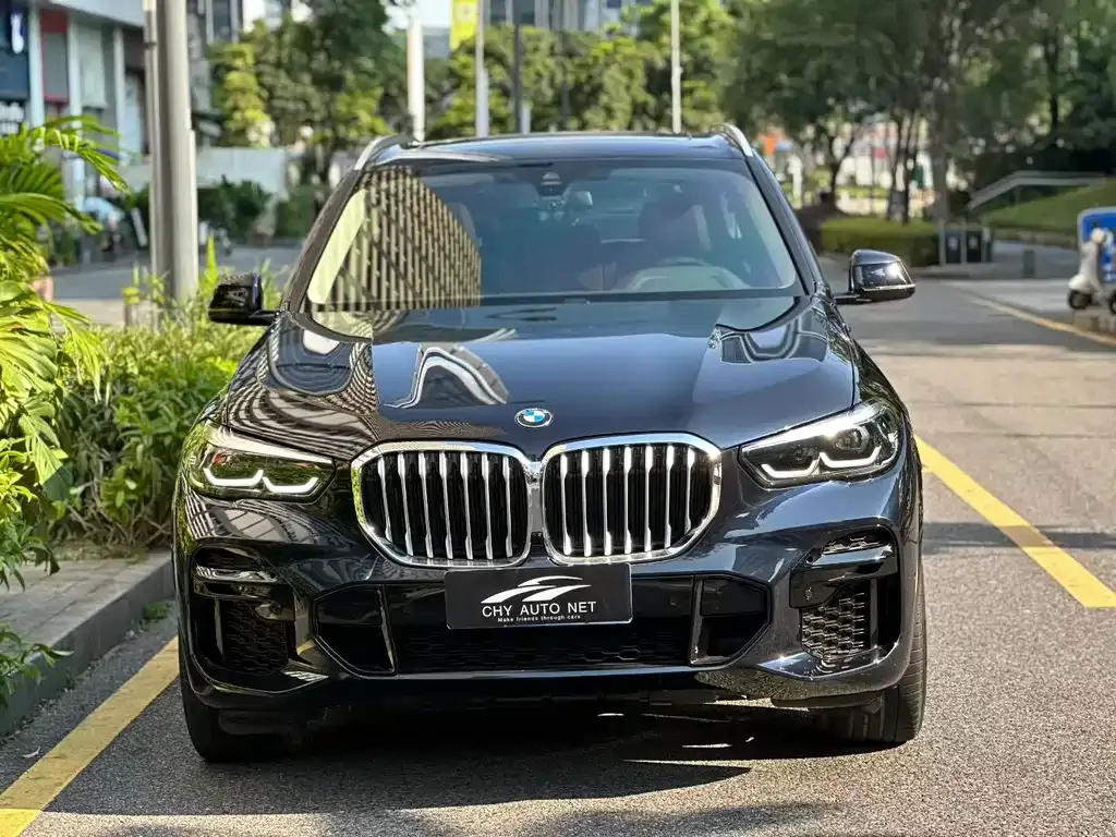 BMW X5 (Import) — фото 8