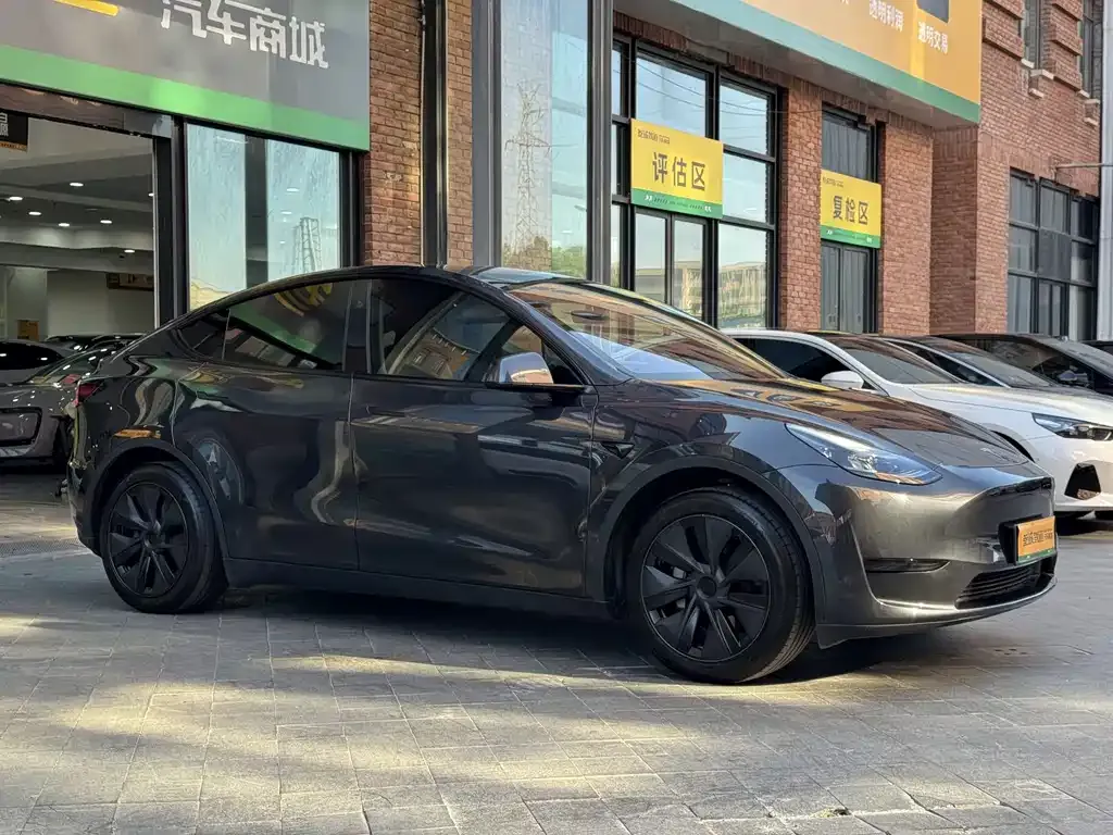 Tesla Model Y — фото 9