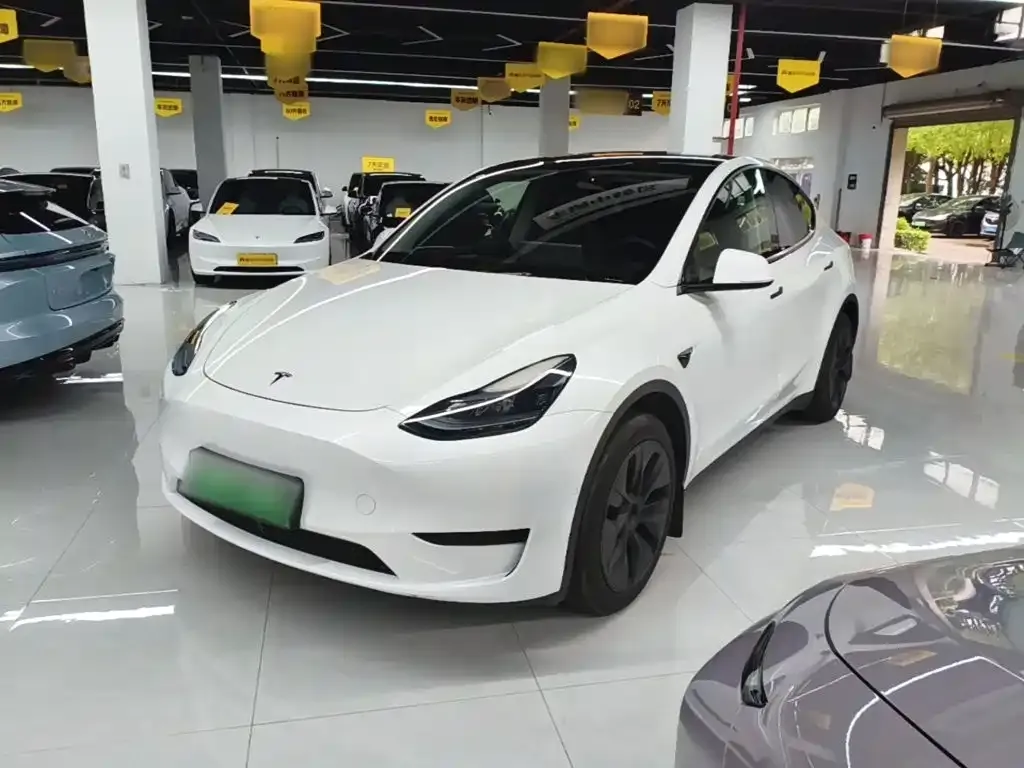 Tesla Model Y — фото 10