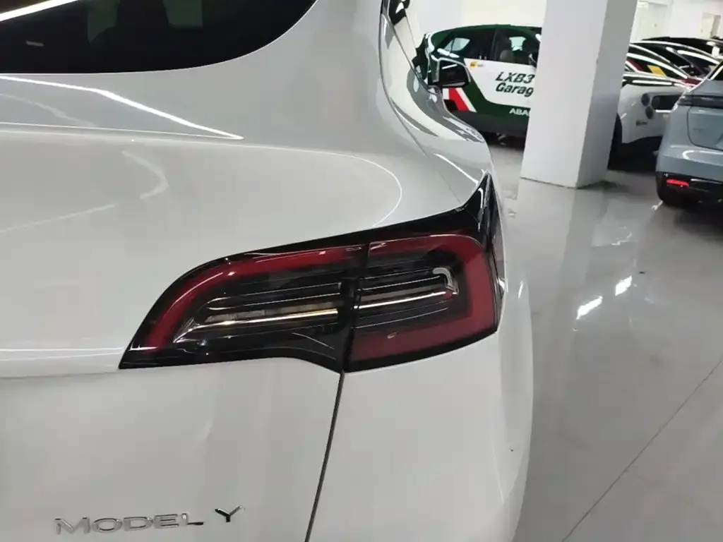 Tesla Model Y — фото 3