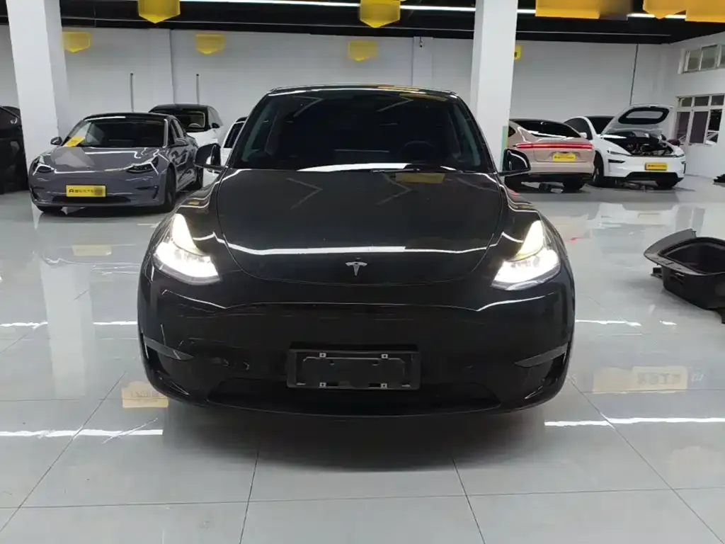Tesla Model Y — фото 2