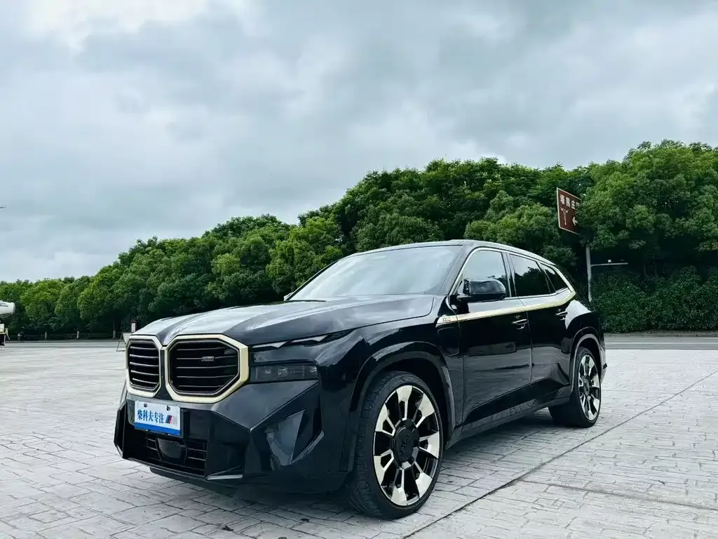 BMW XM — фото 3