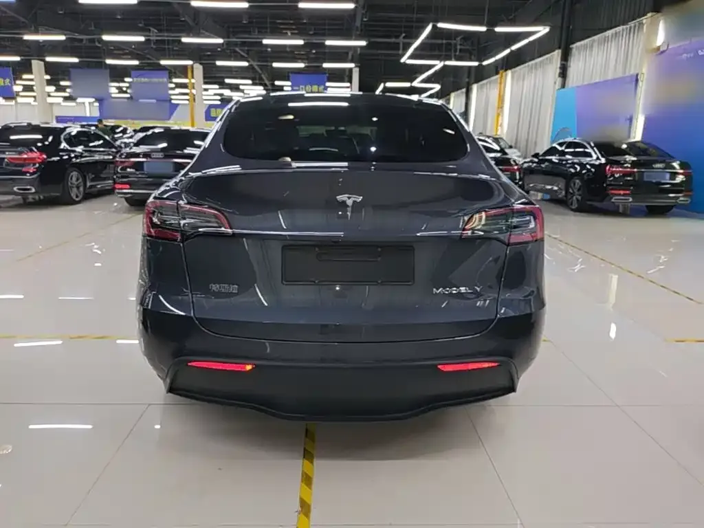 Tesla Model Y — фото 6