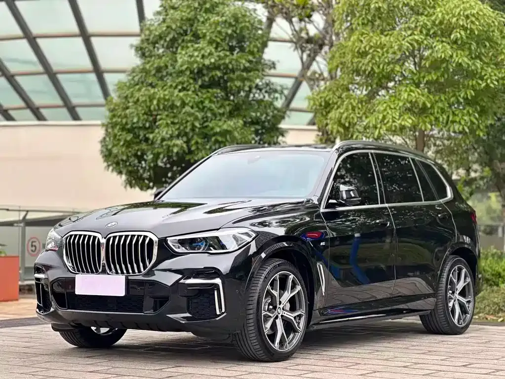 BMW X5 — фото 1