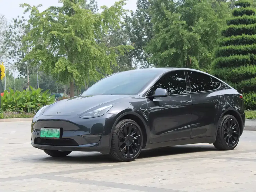 Tesla Model Y — фото 1