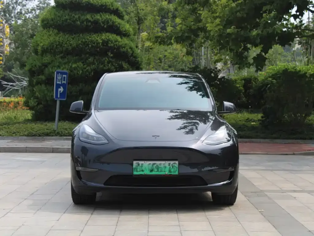 Tesla Model Y — фото 6