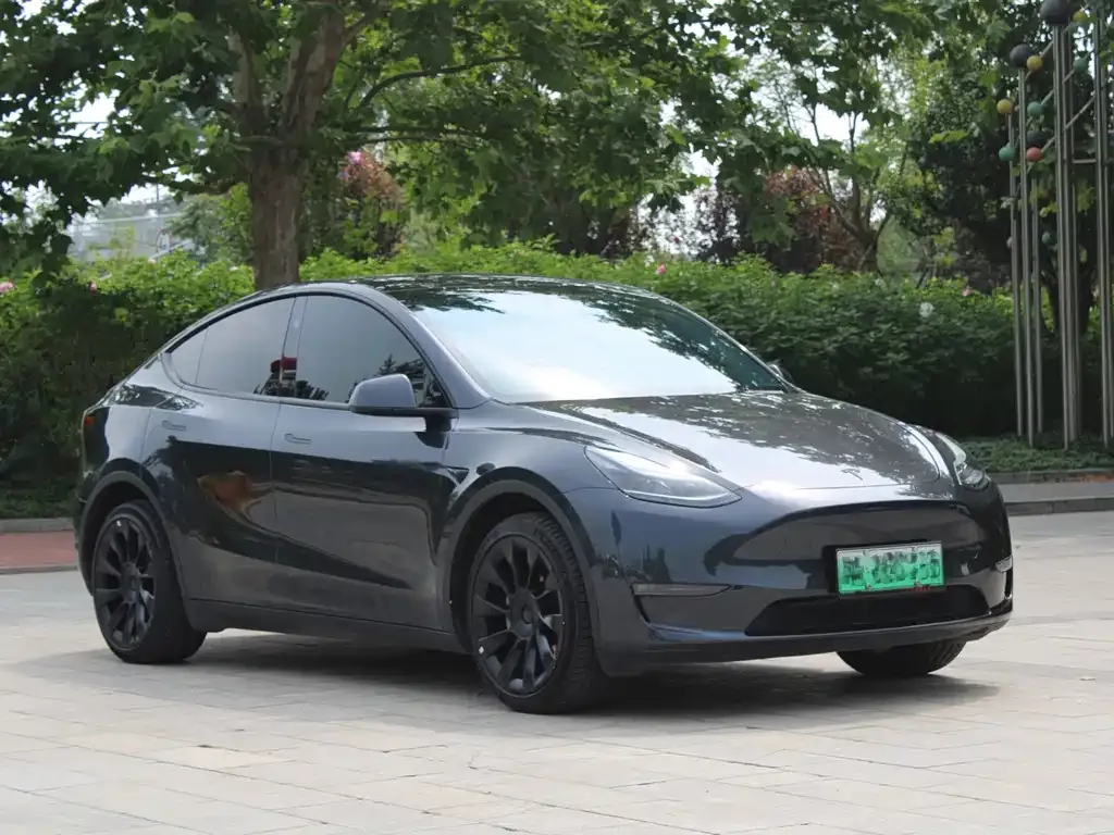 Tesla Model Y — фото 10