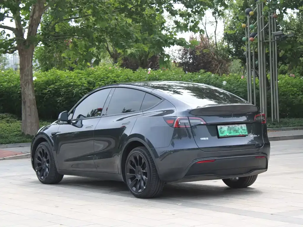 Tesla Model Y — фото 8