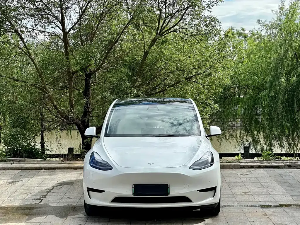 Tesla Model Y — фото 10