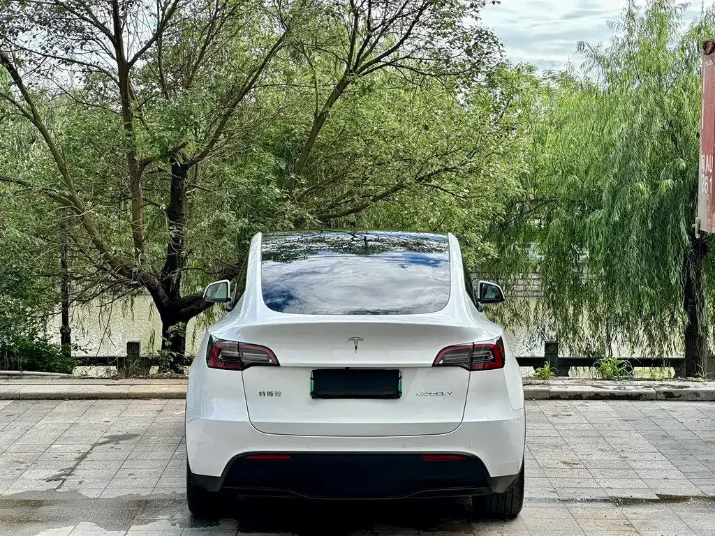 Tesla Model Y — фото 8