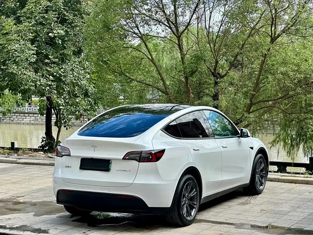 Tesla Model Y — фото 9