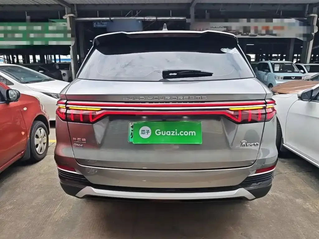BYD Pro New Energy — фото 10
