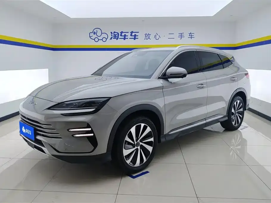 BYD PLUS New Energy — фото 1