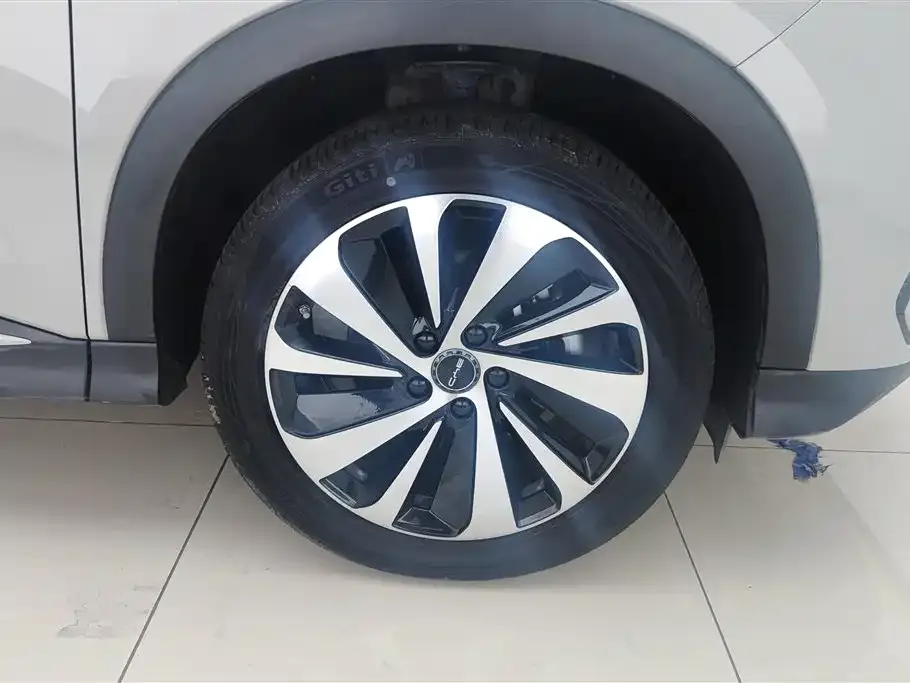 BYD PLUS New Energy — фото 4