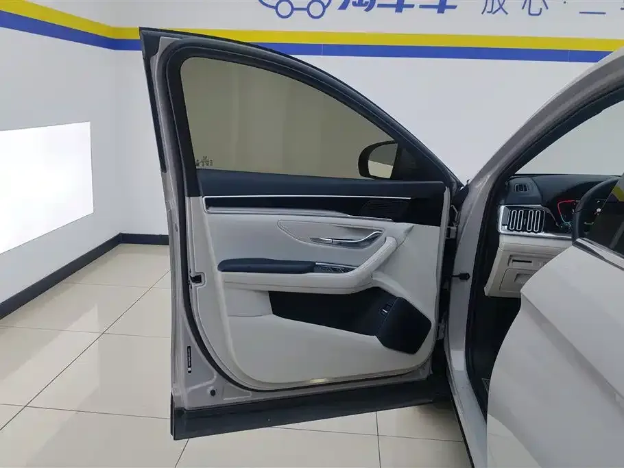 BYD PLUS New Energy — фото 2