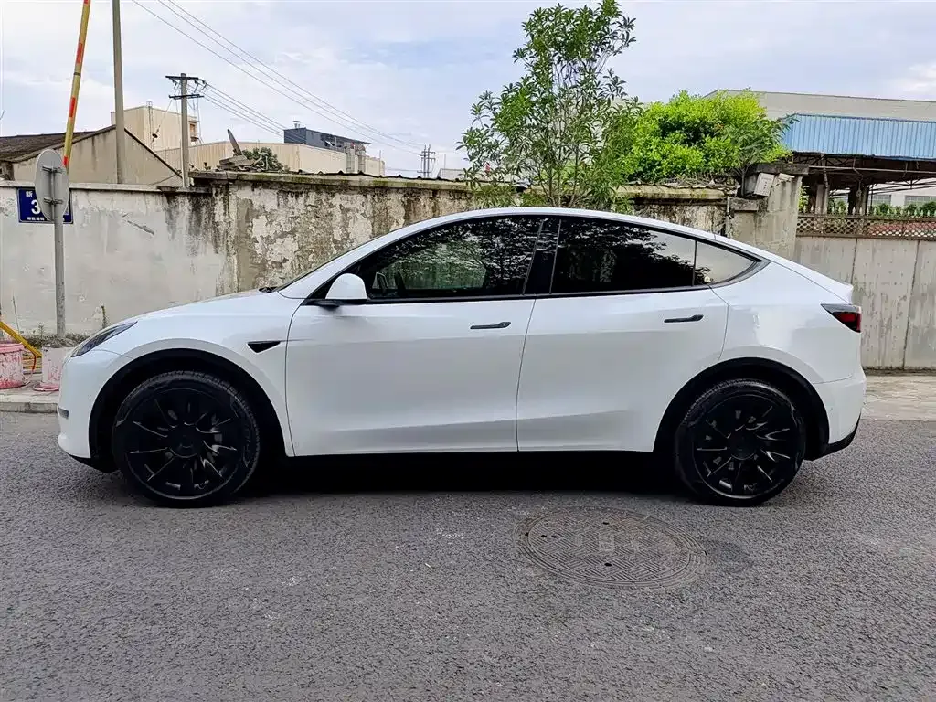 Tesla Model Y — фото 6