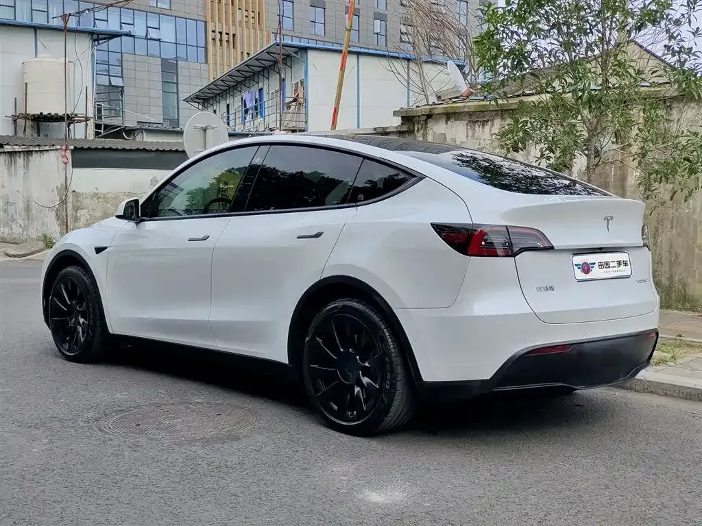 Tesla Model Y — фото 8