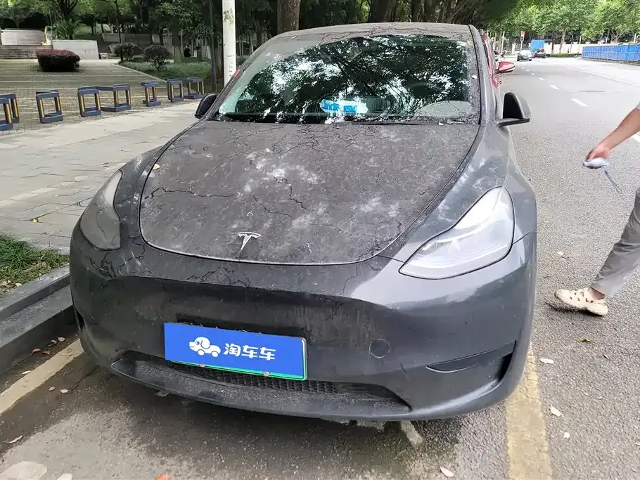 Tesla Model Y — фото 10
