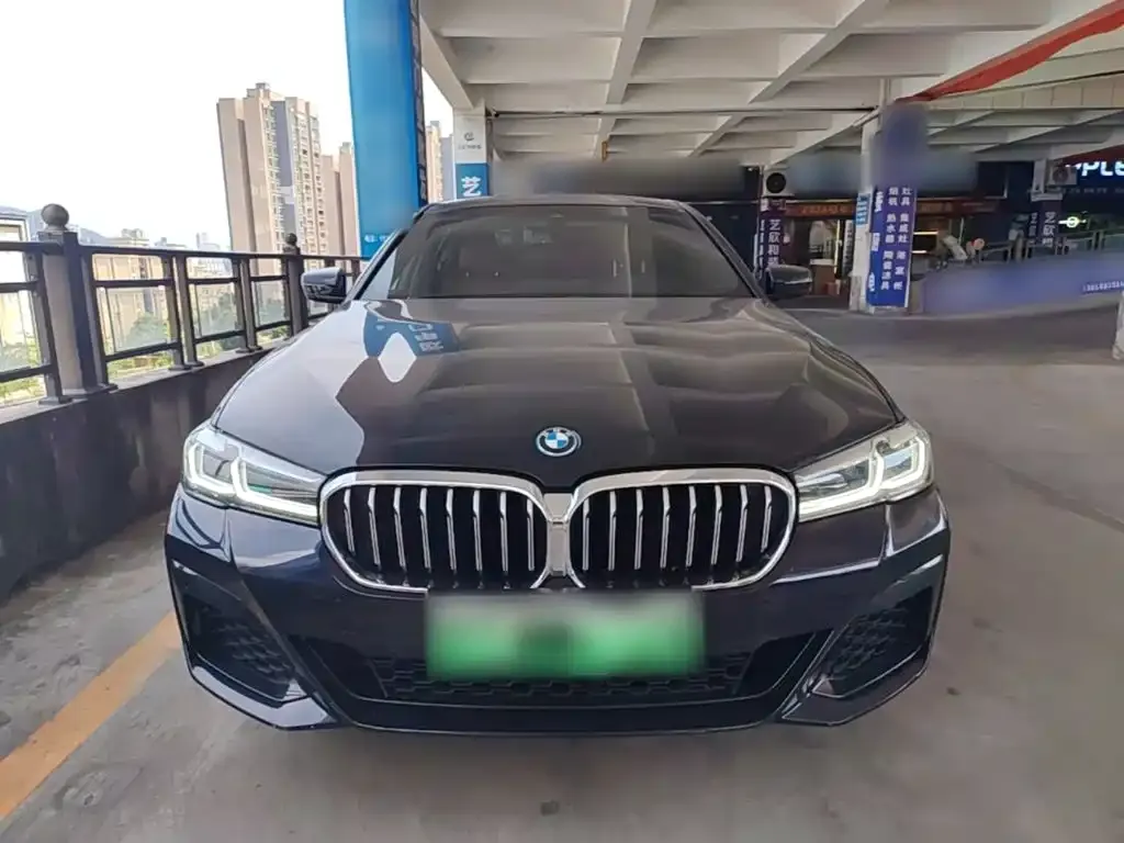 BMW 5 Series New Energy 2022 из CN, фото 9