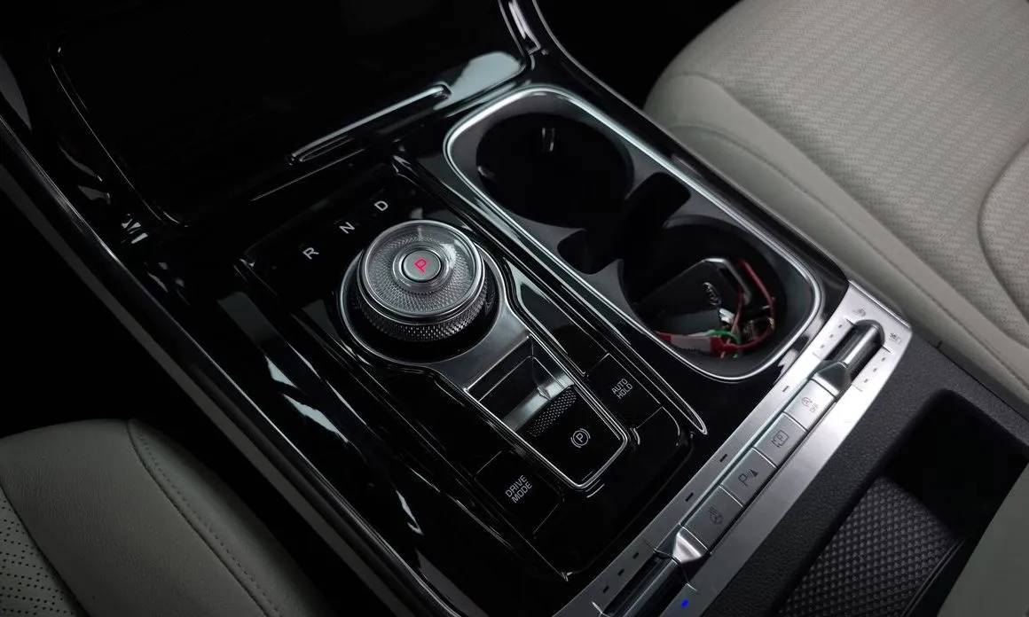 Kia Carnival — фото 10