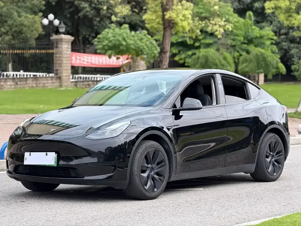 Tesla Model Y — фото 1