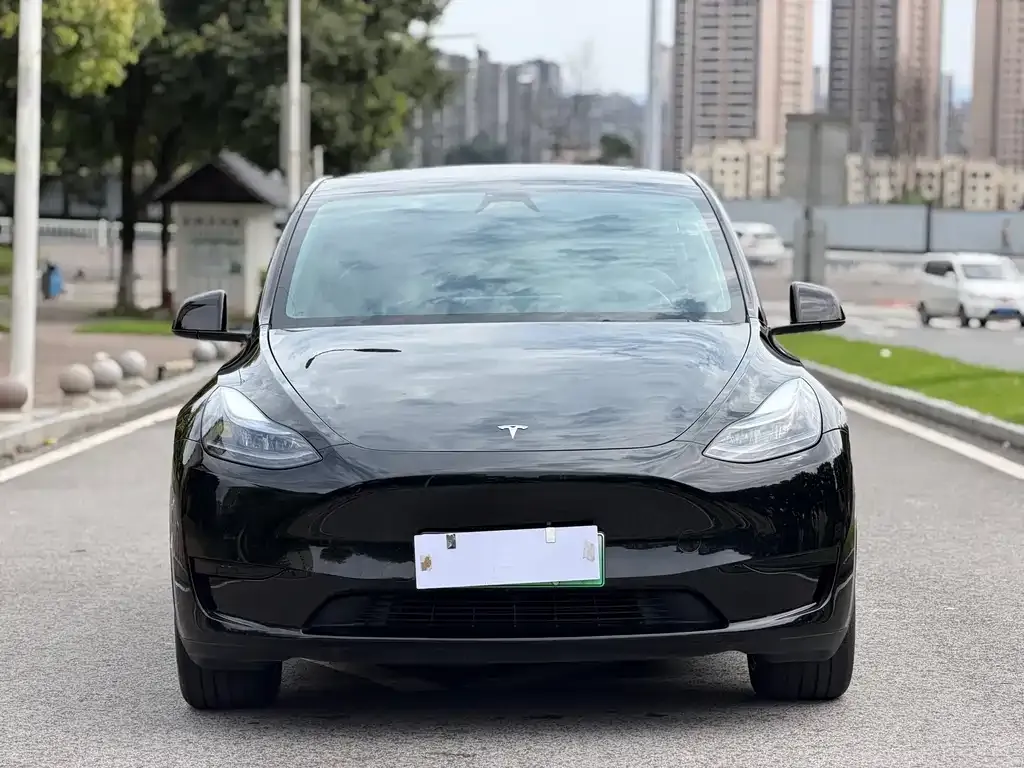 Tesla Model Y — фото 6