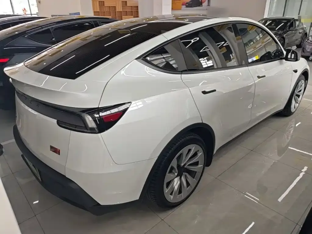 Tesla Model Y — фото 8