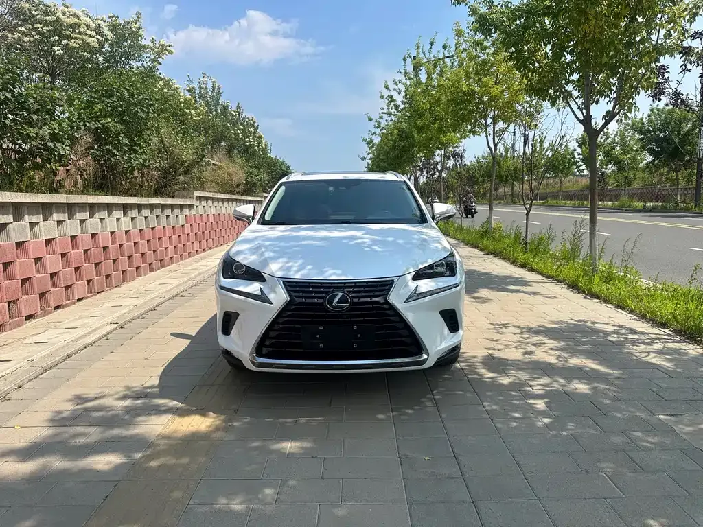 Lexus NX 2021 из CN, фото 10