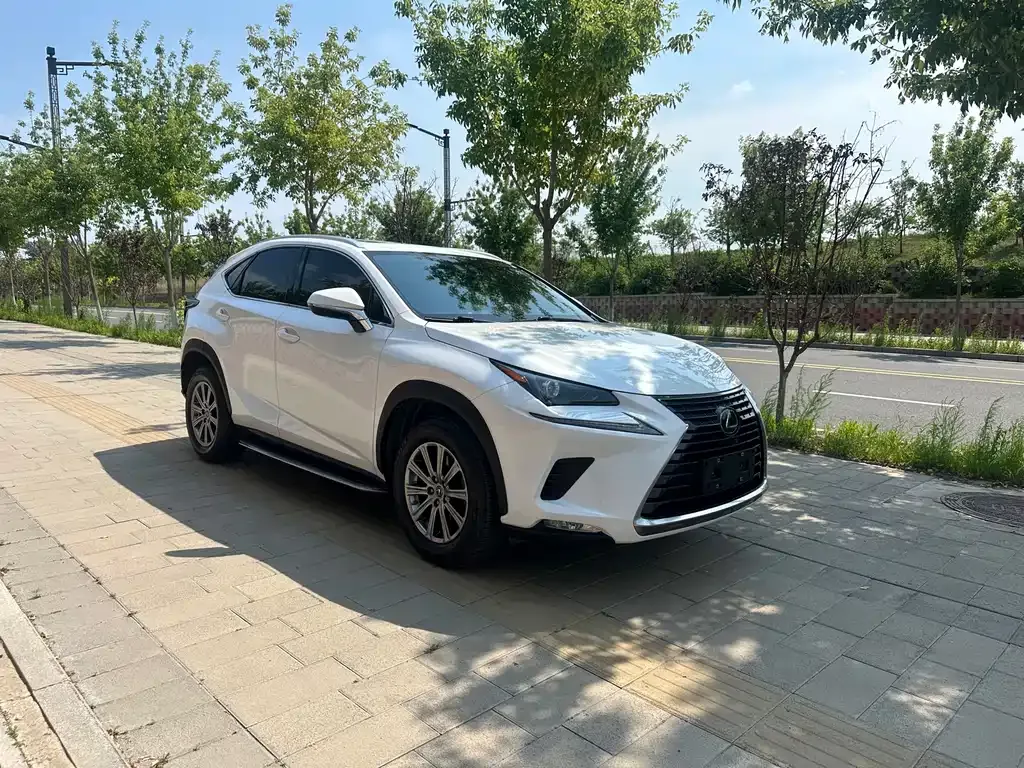Lexus NX 2021 из CN, фото 7
