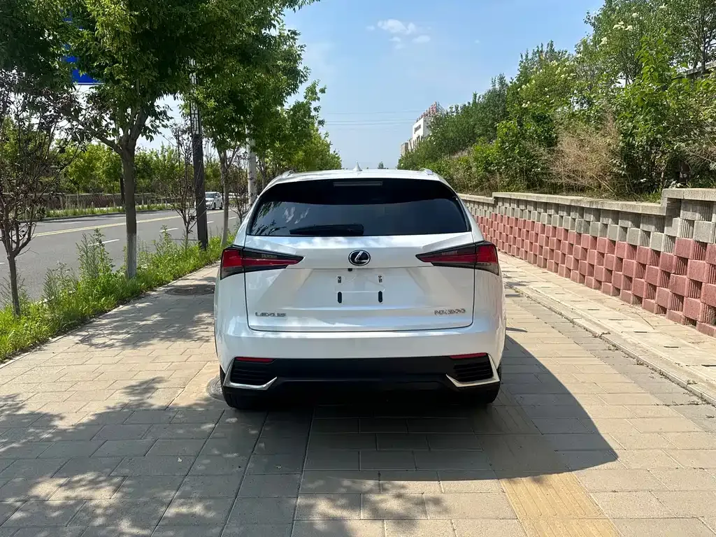Lexus NX 2021 из CN, фото 9