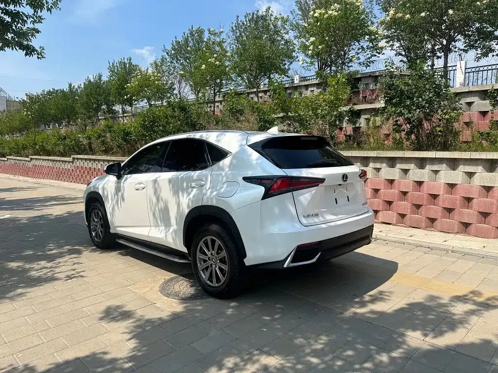 Lexus NX 2021 из CN, фото 6
