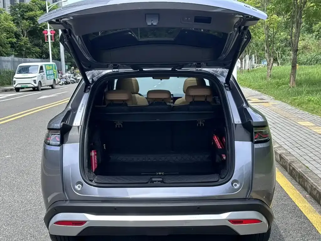 BYD L DM-i 2024 из CN, фото 6
