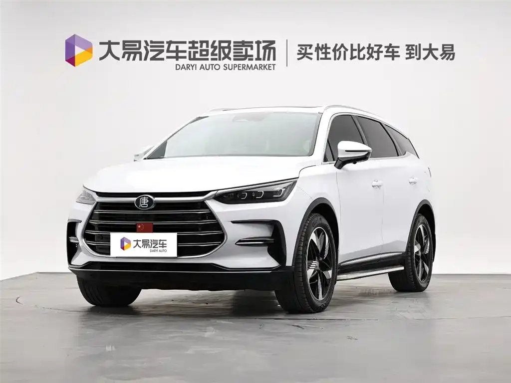 BYD Tang New Energy — фото 1